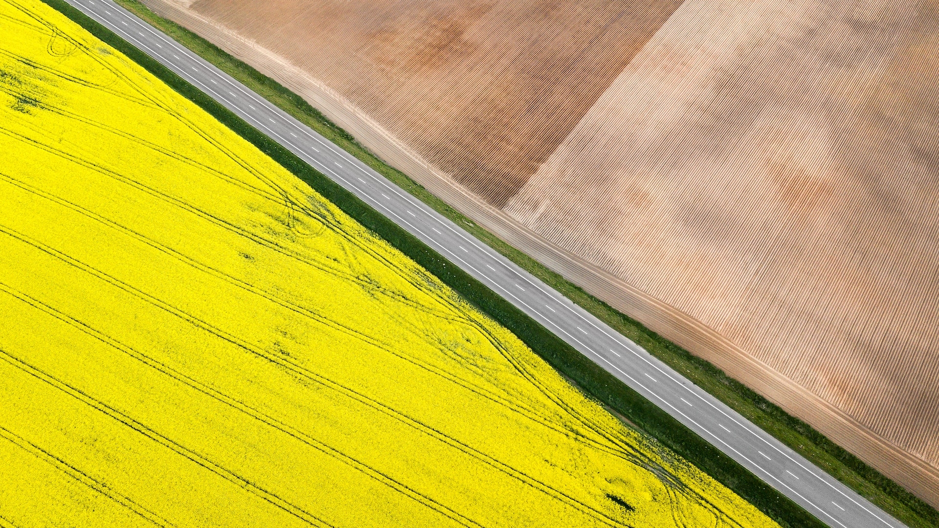 17th Fuel Branch Meeting - Polish Biofuel Market 2024