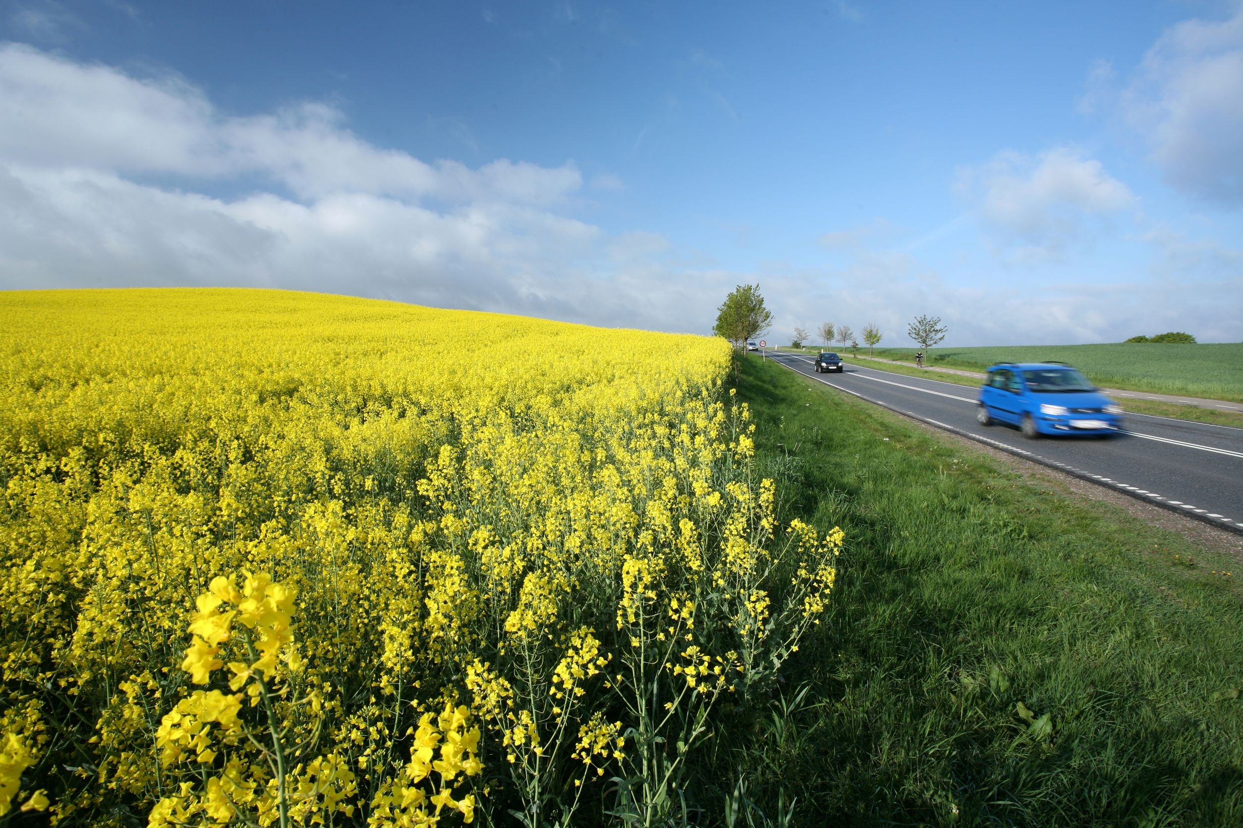18th Fuel Branch Meeting - Polish Biofuels Market 2025
